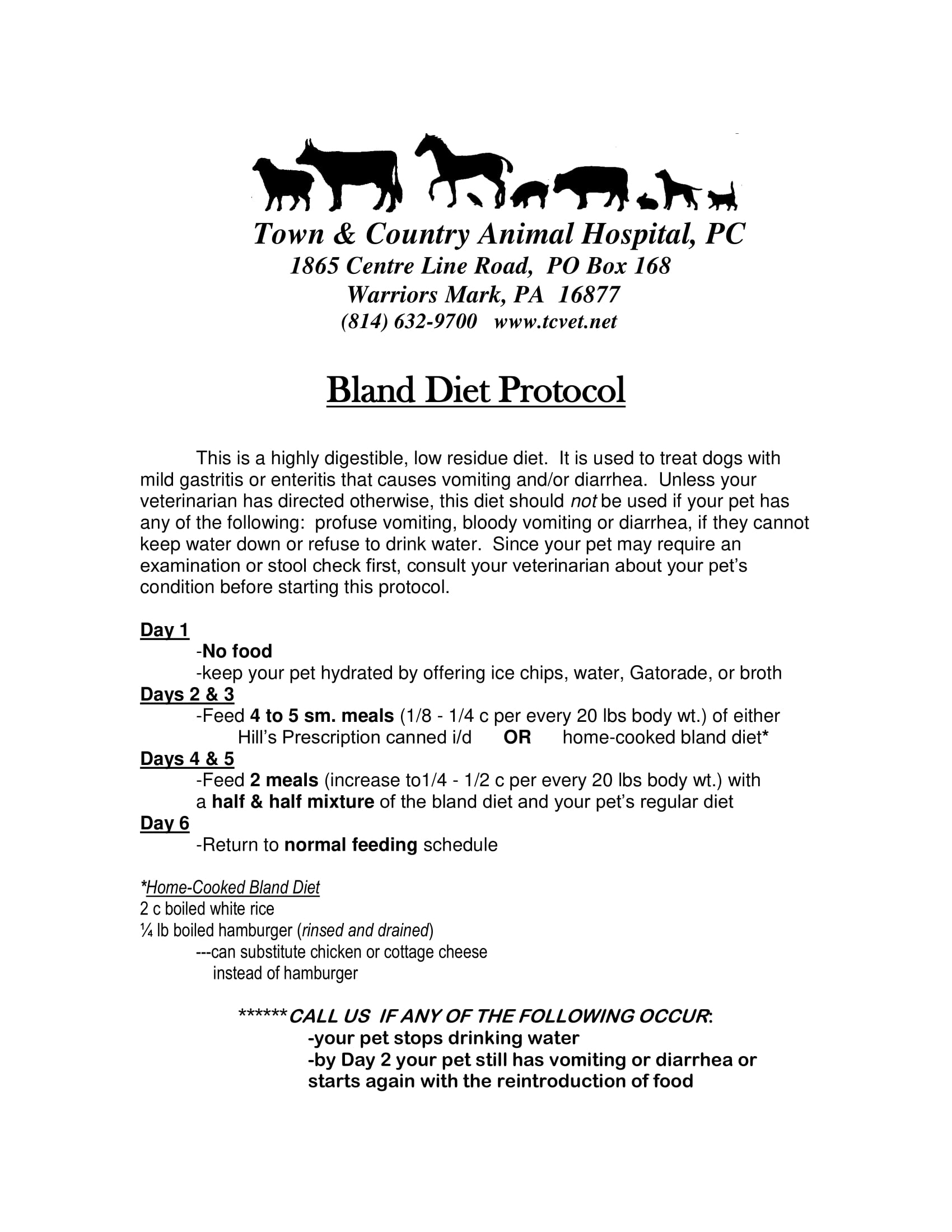 Bland diet for store dogs with diarrhea